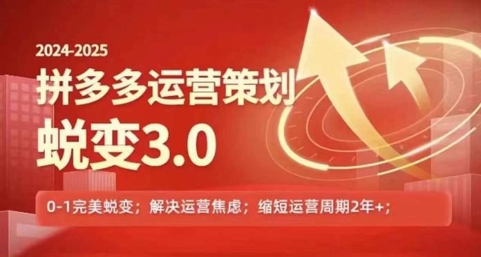2024-2025拼多多运营策略蜕变3.0，0~1完美蜕变，解决信息焦虑-AI网创