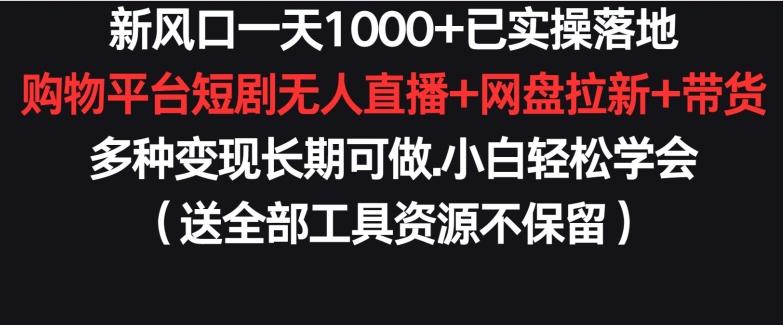 新风口一天1000+已实操落地购物平台短剧无人直播+网盘拉新+带货多种变现长期可做【揭秘】-AI网创