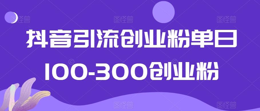 抖音引流创业粉单日100-300创业粉【揭秘】-AI网创