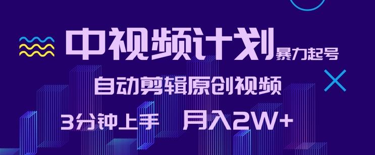 中视频计划暴力起号，自动剪辑原创视频，3分钟上手，月入2W+【揭秘】-AI网创