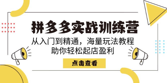 拼多多实战训练营，从入门到精通，海量玩法教程，助你轻松起店盈利-AI网创