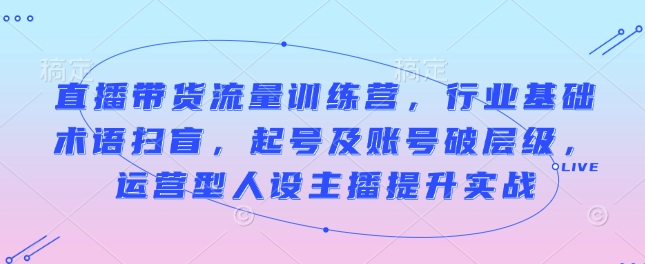 直播带货流量训练营，行业基础术语扫盲，起号及账号破层级，运营型人设主播提升实战-AI网创