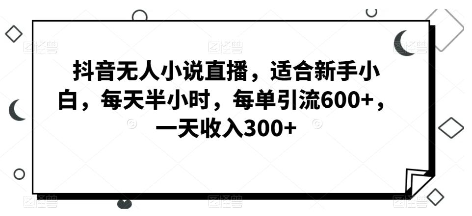 抖音无人小说直播，适合新手小白，每天半小时，每单引流600+，一天收入300+-AI网创
