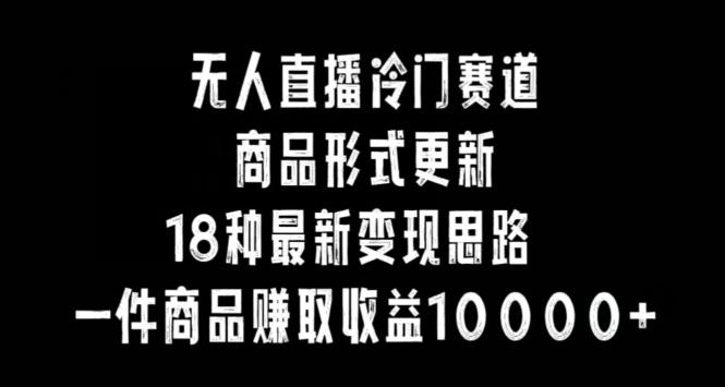 无人直播冷门赛道，商品形式更新，18种变现思路，一件商品赚取收益10000+【揭秘】-AI网创