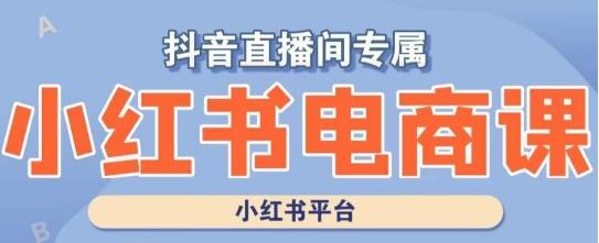 小红书电商高级运营课程，实操教学+案例分析-AI网创