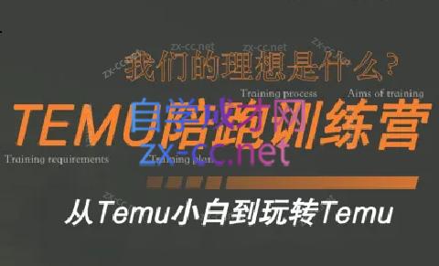 苗苗·拼多多跨境（temu）课程-AI网创
