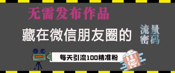 藏在微信朋友圈的流量密码，无需发布作品，单日引流100+精准创业粉【揭秘】-AI网创