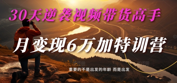 30天逆袭视频带货高手，单月变现6万加特训营-麦子甜-AI网创