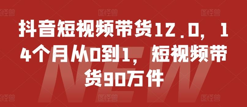 抖音短视频带货12.0，14个月从0到1，短视频带货90万件-AI网创