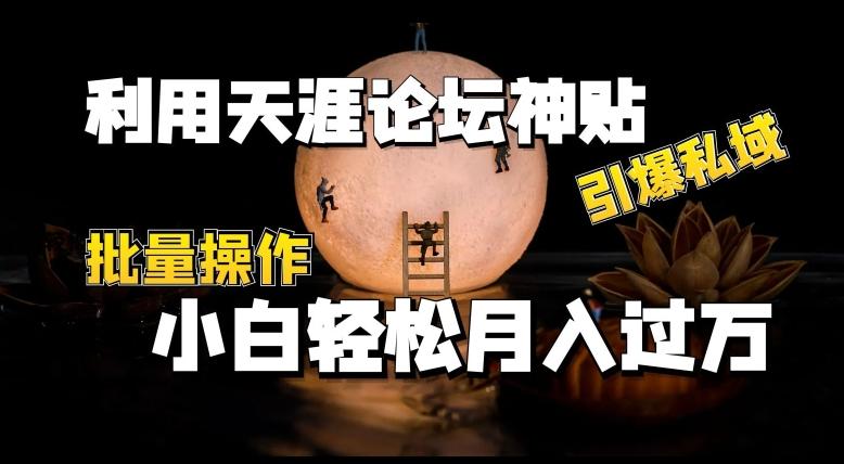 利用天涯论坛神贴，引爆私域，批量操作，小白轻松月入过w【揭秘】-AI网创