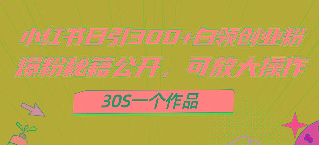 小红书日引300+高质白领创业粉，可放大操作，爆粉秘籍！30s一个作品-AI网创