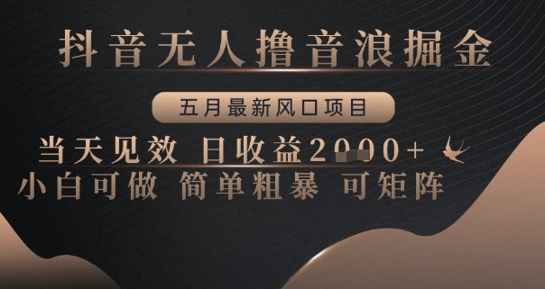 抖音无人撸音浪掘金，五月最新风口项目，当天见效，日收益多张，小白可做简单粗暴可矩阵【揭秘】-AI网创
