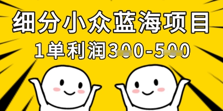 细分小众蓝海项目，一单利润3张，每月收入稳定过1w+-AI网创