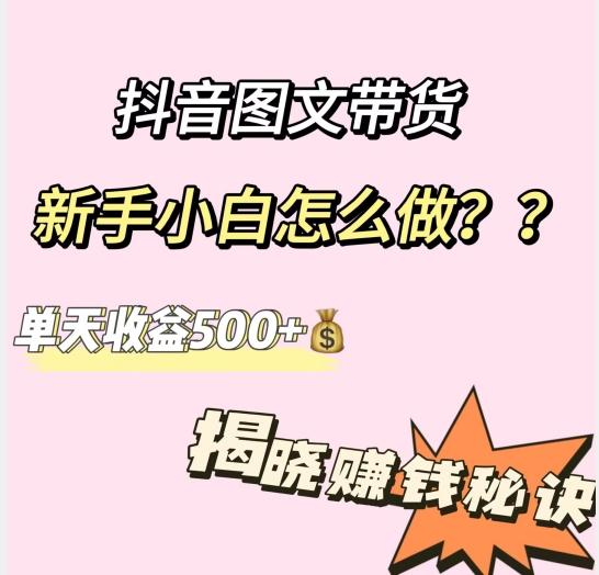 抖音图文带货，新手小白怎么做？单天收益500+【揭秘赚钱秘诀】-AI网创