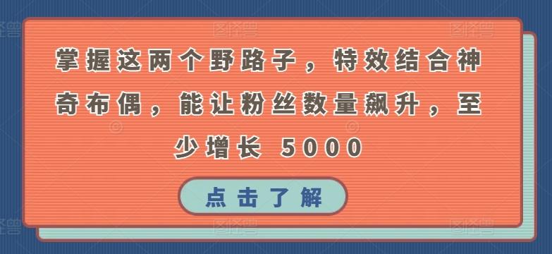 掌握这两个野路子，特效结合神奇布偶，能让粉丝数量飙升，至少增长 5000【揭秘】-AI网创