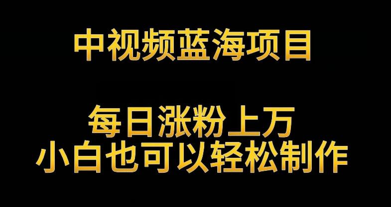 中视频蓝海项目，解读英雄人物生平，每日涨粉上万，小白也可以轻松制作，月入过万不是梦【揭秘】-AI网创