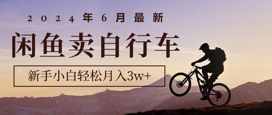 2024年6月最新闲鱼卖自行车，新手小白轻松月入3w+项目-AI网创