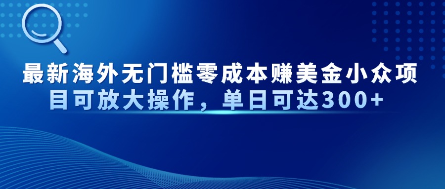 最新海外无门槛零成本赚美金小众项目可放大操作，单日可达300+-AI网创