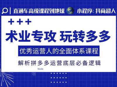 术业专攻玩转多多，优秀运营人的全面体系课程，解析拼多多运营底层必备逻辑-AI网创
