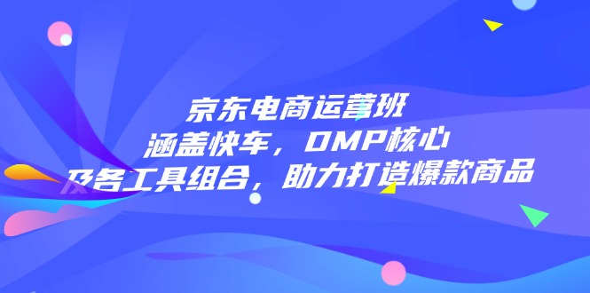 京东电商运营班：涵盖快车，DMP核心及各工具组合，助力打造爆款商品-AI网创