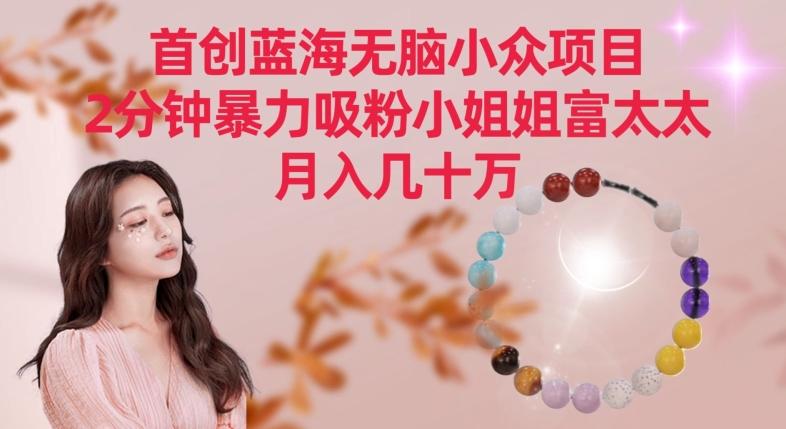 首创蓝海无脑小众项目，2分钟暴力吸粉小姐姐富太太，月入几十万【揭秘】-AI网创