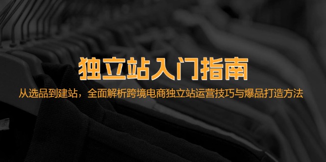 独立站入门指南：从选品到建站，全面解析跨境电商独立站运营技巧与爆品…-AI网创