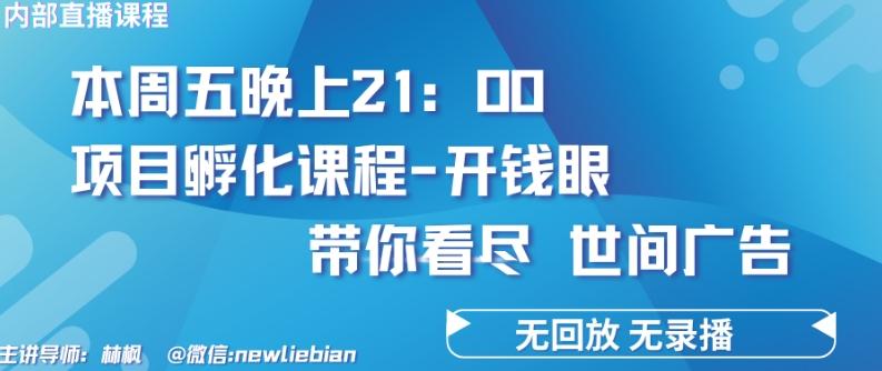 4.26日内部回放课程《项目孵化-开钱眼》赚钱的底层逻辑【揭秘】-AI网创