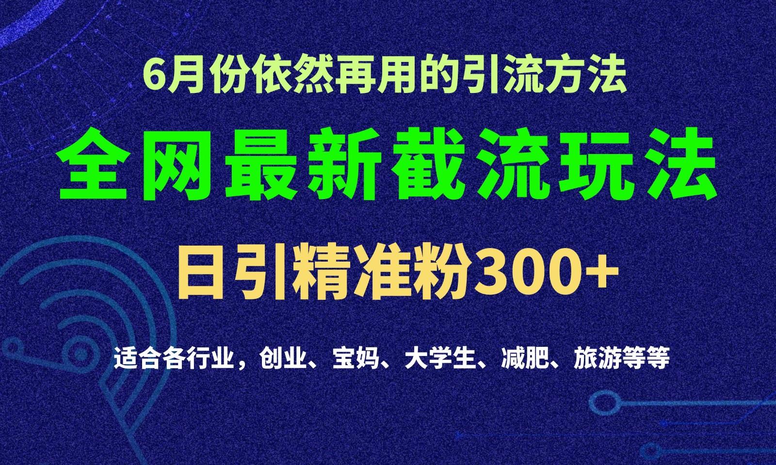 2024全网最新截留玩法，每日引流突破300+-AI网创