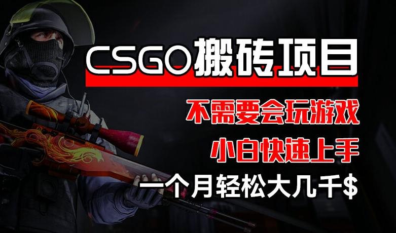 CSGO 装备搬砖项目，操作简单，不需要会玩游戏，小白也能快速上手，一个月轻松大几千【揭秘】-AI网创