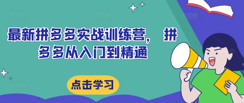 最新拼多多实战训练营， 拼多多从入门到精通-AI网创
