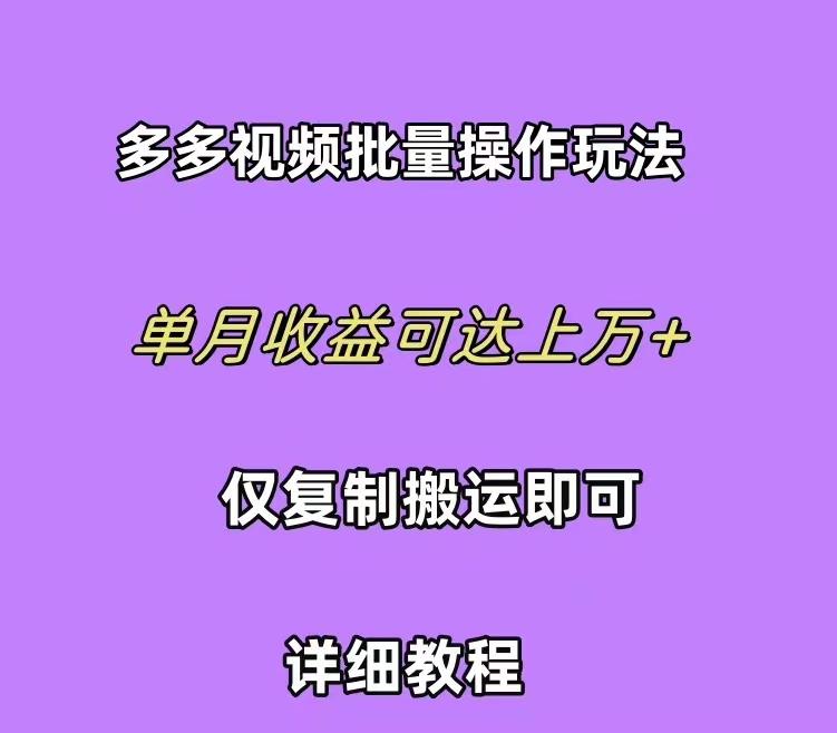 (10029期)拼多多视频带货快速过爆款选品教程 每天轻轻松松赚取三位数佣金 小白必…-AI网创