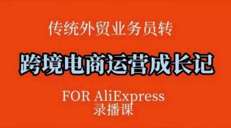 跨境电商速卖通运营课，​运营方法论+后台实操，逻辑清晰-AI网创