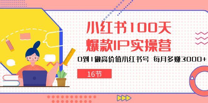 小红书100天-爆款IP实操营，0到1做高价值小红书号 每月多赚3000+(16节-AI网创