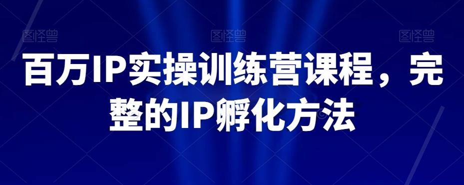 百万IP实操训练营课程，完整的IP孵化方法-AI网创