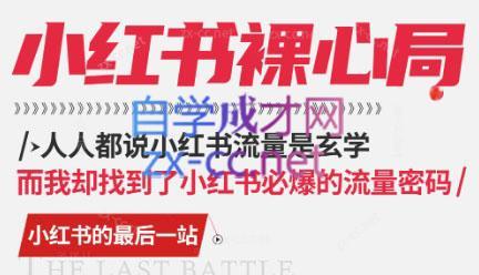 月月老师·小红书低粉高变现课-AI网创