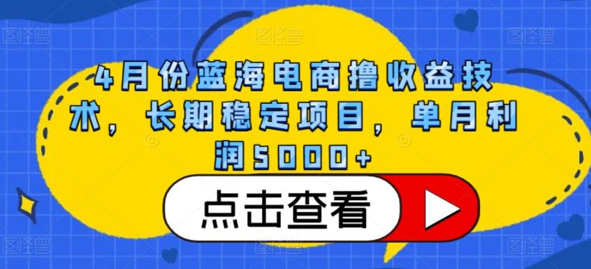 4月份蓝海电商撸收益技术，长期稳定项目，单月利润5000+【揭秘】-AI网创