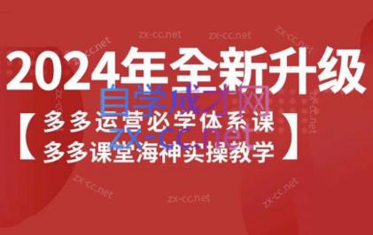 海神老师·拼多多运营必学体系课-AI网创