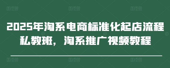 2025年淘系电商标准化起店流程私教班，淘系推广视频教程-AI网创