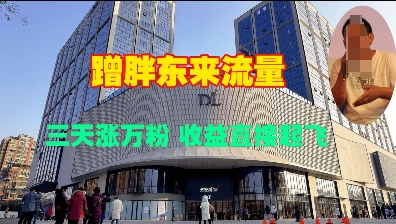 蹭胖东来流量，三天涨万粉，收益直接起飞-AI网创