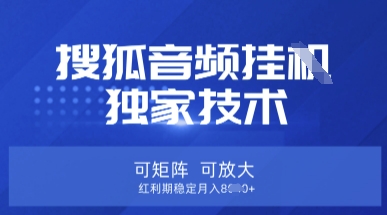 【搜狐音频挂G】独家技术，可矩阵可放大，红利期稳定月入8k【揭秘】-AI网创