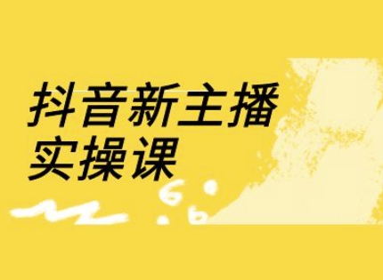抖音新主播实操课，直播间流量运营线上实操课(18节)-AI网创