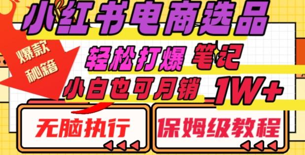 小红书电商爆款选品秘籍，帮你轻松打爆笔记，小白也可轻松月销10000+-AI网创