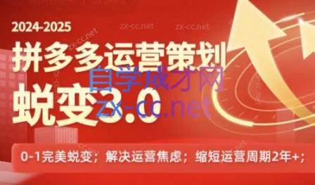 大力老师·2024拼多多运营策略蜕变3.0-AI网创