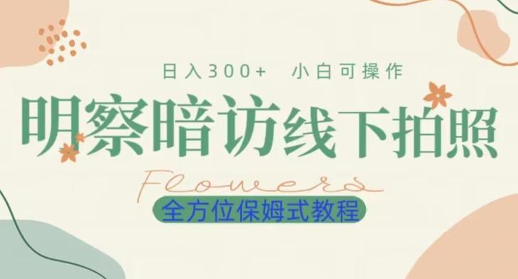 明拍暗拍项目0成本投入日入300+小白可操作保姆式全方位教程-AI网创