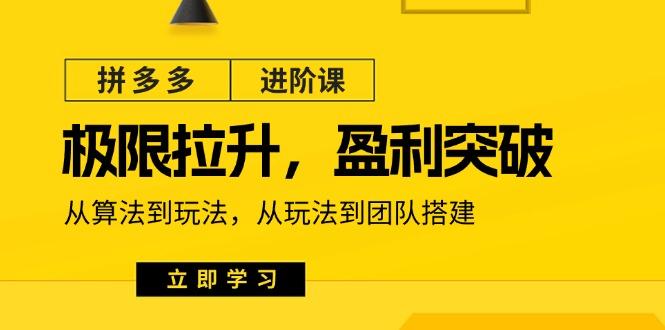 拼多多·进阶课：极限拉升/盈利突破：从算法到玩法 从玩法到团队搭建-18节-AI网创