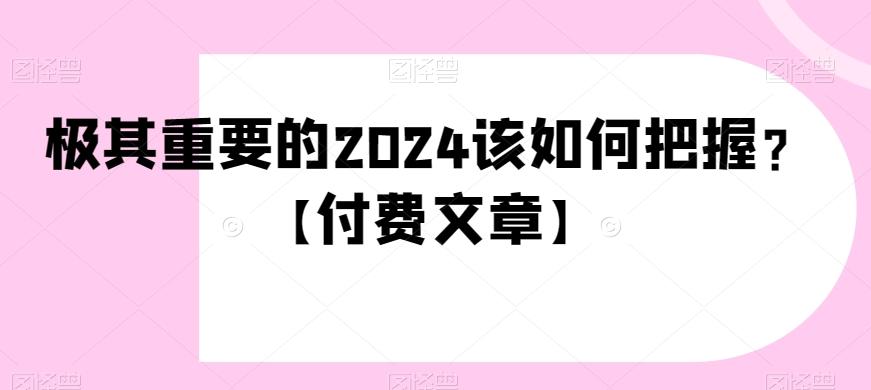 极其重要的2024该如何把握？【付费文章】-AI网创
