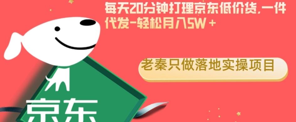 每天20分钟打理京东低价货，一件代发-轻松月入5W＋-AI网创