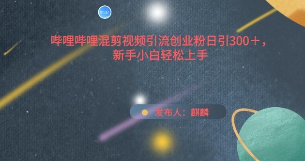 哔哩哔哩混剪视频引流创业粉日引300+，新手小白轻松上手【揭秘】-AI网创