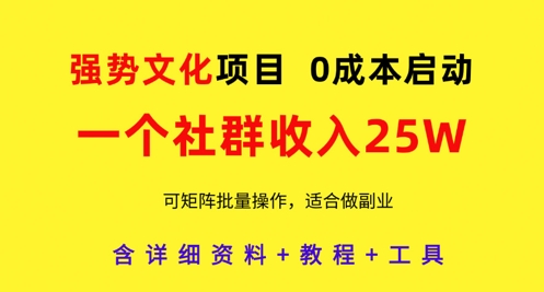 强势文化项目，一个社群收入25个W，0成本启动，可矩阵批量操作，原创详细实操教程-AI网创