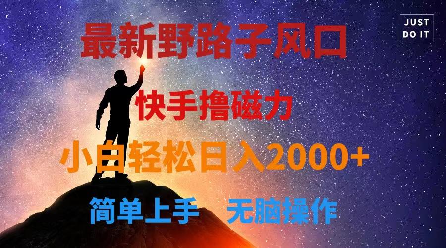 最新风口！快手撸磁力，野路子，小白无脑操作日入2000+-AI网创